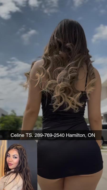 Celine 28 TS /Trans 
Hamilton ,Ontario 
Incall only 
Must drive to hamilton